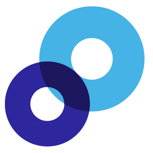 Strategy and Leadership Consulting